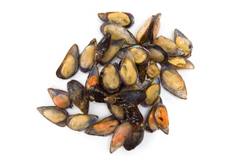 Mussels