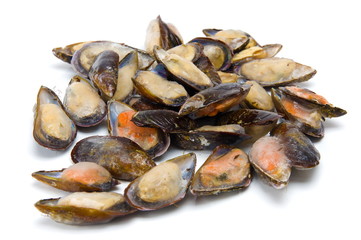 Mussels