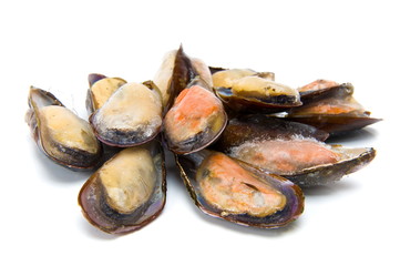 Mussels