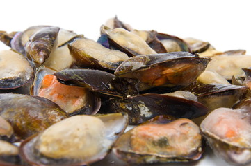 Mussels