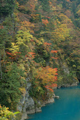 渓谷の紅葉