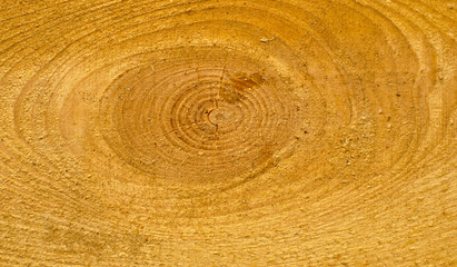 wooden background