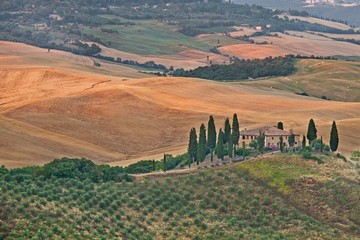 Obraz premium Scenic view of typical Tuscany landscape