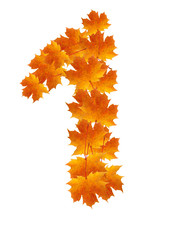 Naklejka na ściany i meble Autumn leaves number