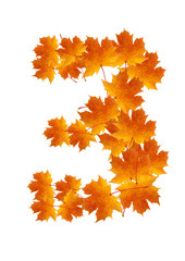 Autumn leaves number