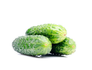 Cucumber