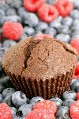 Chocolate muffin with forest fruit