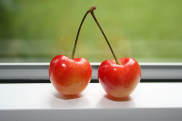 Sweet orange-yellow Rainier Cherries