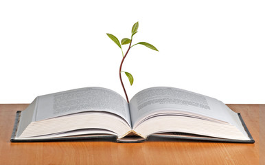 Tree growing from a book
