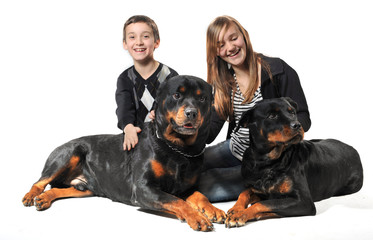 enfants joyeux et rottweilers