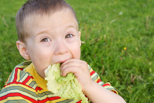 The boy hungrily eats lettuce, von grass