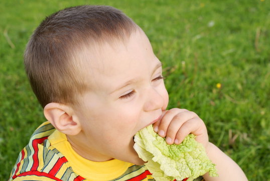 The boy hungrily eats lettuce, von grass