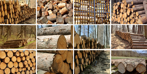 Wood piles collage.