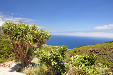Fototapeta na wymiar La Palma, Kanarische Inseln