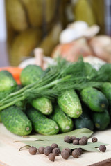 Ingredients for pickles. Shallow DOF