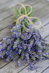 Fototapeta premium Lavender bound