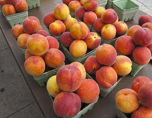 Organic Peaches on sale at outdoor farmers market