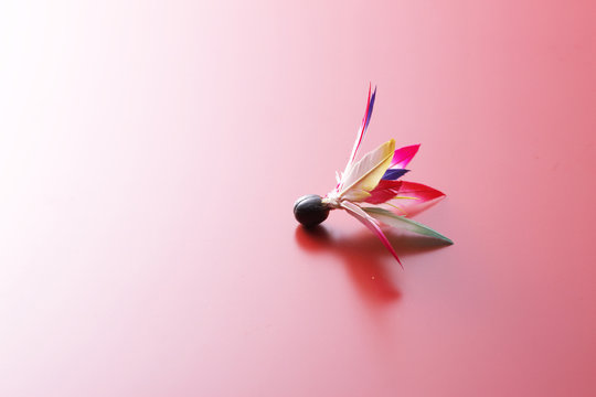 24 658 最適な 羽根つき 画像 ストック写真 ベクター Adobe Stock