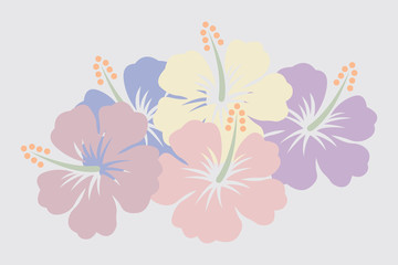bleach vector illustration of hibiscus flowers