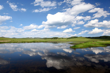 Landscape in grassland