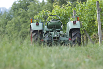 Traktor in den Rebbergen in Schinznach/Schweiz © ighoehn