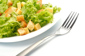 Close-up of salad on white plate