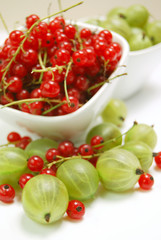 Red currants and gooseberry