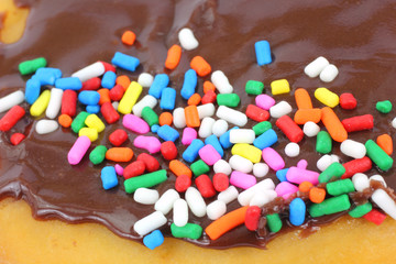 Close view of sprinkled chocolate iced donut