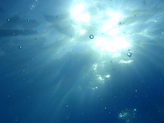 Obraz na płótnie Canvas underwater background