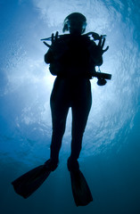 Silhouette of a diver