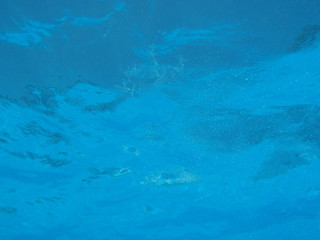 underwater background