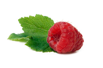 raspberry