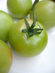 tomates vertes