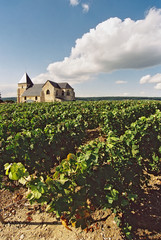 Fototapeta na wymiar La chapelle des vignes en Champagne, département de la Marne en région Grand-Est, France