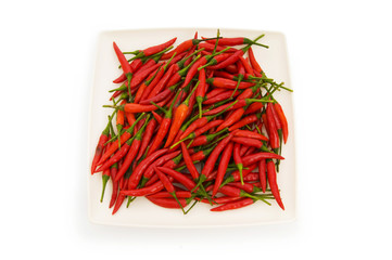 Fototapeta premium Hot peppers isolated on the white background