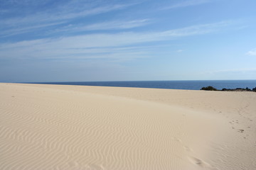 Fototapeta na wymiar Fuerteventura Dunes
