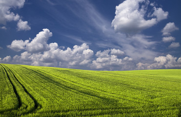 Landscape - see description