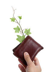 Wallet and plant