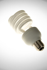 Compact Fluorescent Lightbulb