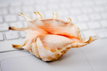 Arbeiten im Urlaub. Mobile sein