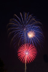 Red, white and blue fireworks vertical
