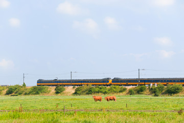 Dutch train in landscape