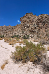 Fototapeta na wymiar Arid landscape of Grapevine Canyon - Nevada