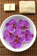 aromatherapy setup with orchid flower