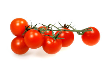 Vegetable tomatos on white background