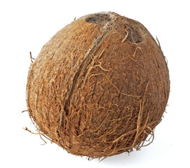 Coconut