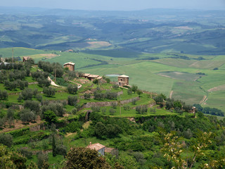 Fototapeta na wymiar Na wzgórzach wokół Montalcino, Toskania, Włochy