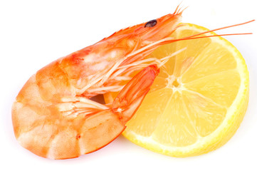 Crevette et rondelle de citron