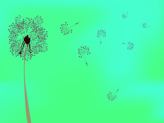dandelion against green background