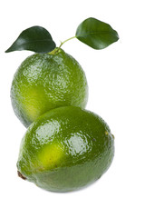 lime on white close up